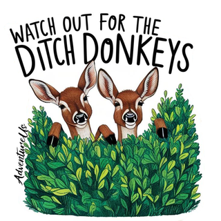 Watch out for Ditch Donkeys - Vinyl Sticker