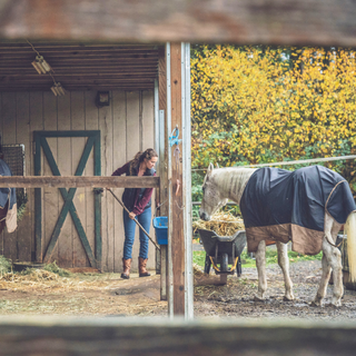 Wash-in cleaner for indoor/outdoor rugs and blankets.  Great for cleaning camp blankets, porch blankets, horse blankets & rugs including those with breathable linings such as GoreTex® and Rambo®.