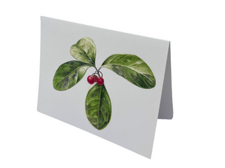 Greeting Cards