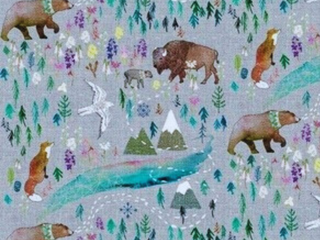 Forest Fun