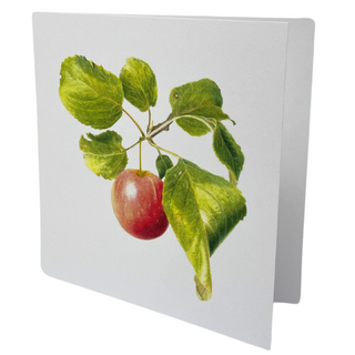 Apple Branch Watercolor Card - Patti Corning