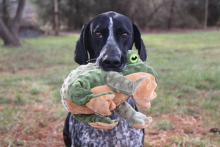 Tall Tails Animated Frog Toy