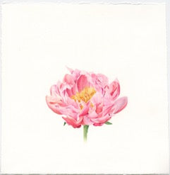 Peony Watercolor Card - Patti Corning