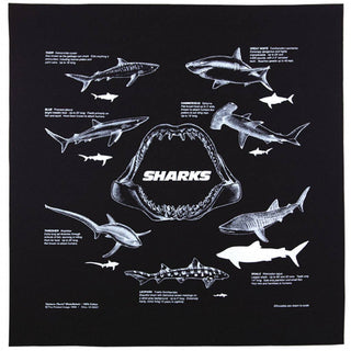 Printed Image Sharks Bandanna: Navy Blue