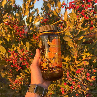 16oz Toad & Mushrooms, Wide Mouth Nalgene Water Bottle