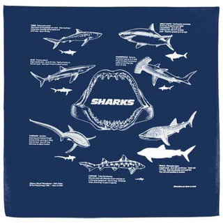 Printed Image Sharks Bandanna: Navy Blue