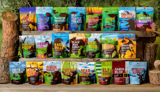 Eagle Pellets (chocolate covered peanuts)