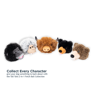 Grizzly 2-in-1 Fetch Ball Dog Toy