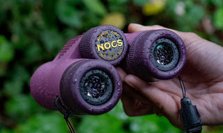 Built from the ground up as a binocular ready for anything. Designed to pack easily, and be held effortlessly, the Standard Issue is the binocular you wished you had all along. Top shelf optics in a compact go-anywhere package.&nbsp;

Waterproof + fog proof
Designed for Max Grip And Protection
Best in Class Optics