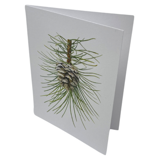 Pine Cone Watercolor Card - Patti Corning