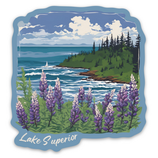 Lupine Lakeshore Lake Superior Sticker