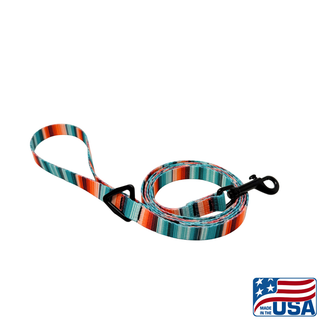 Striped dog leash with a clip on a white background, featuring 'Made in the USA' label.