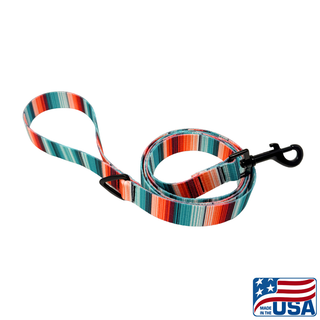 Colorful striped dog leash with a black clip on a white background, featuring 'Made in the USA' label.