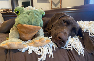 Tall Tails Animated Frog Toy