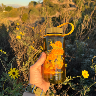 16oz Toad & Mushrooms, Wide Mouth Nalgene Water Bottle