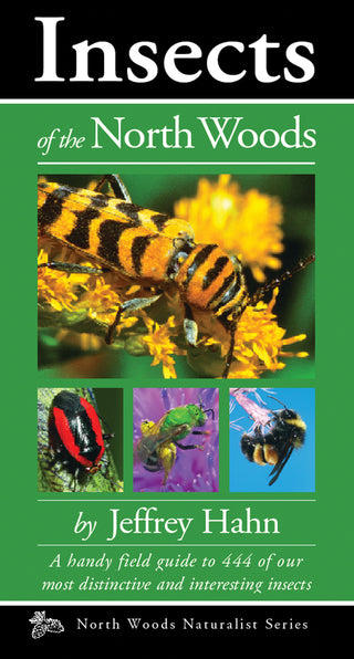 Field Guide- Insects of the North Woods