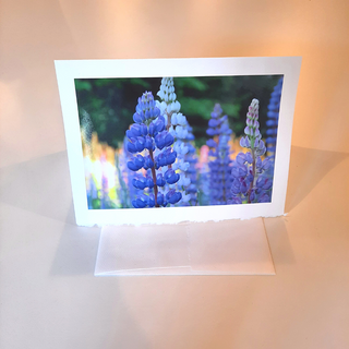 Match life's important moments and messages with a beautiful photo greeting card.  Blank Inside Handmade by local Wisconsin photographer, Cathy Zimmerman Printed in the USA Size: 7" x 5"